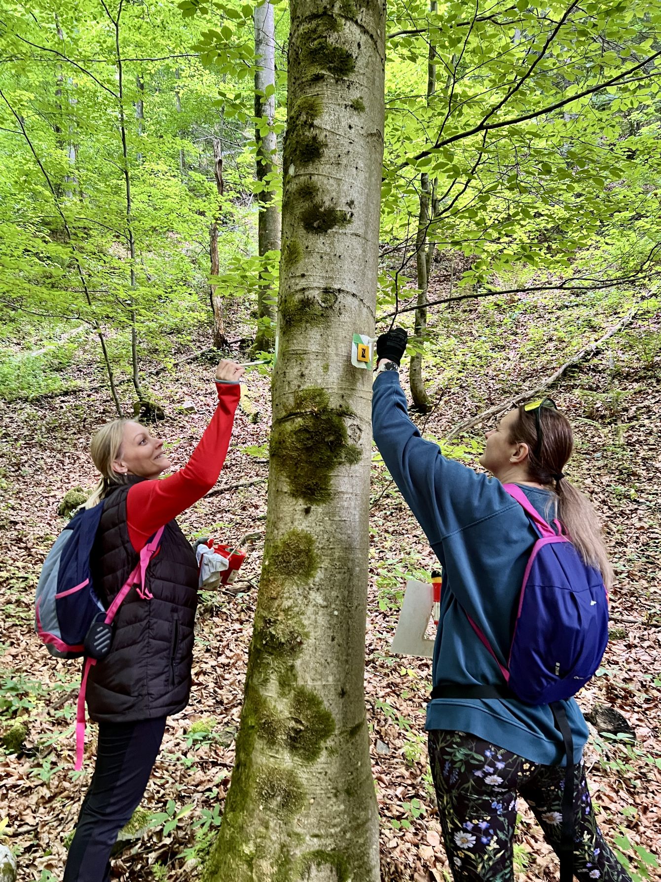 Obnova turistickej trasy Barborsk&aacute; cesta &uacute;spe&scaron;ne za nami!