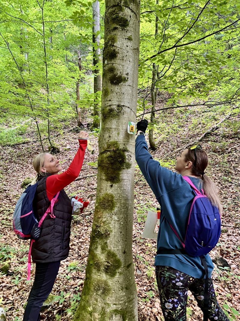 Obnova turistickej trasy Barborsk&aacute; cesta &uacute;spe&scaron;ne za nami!