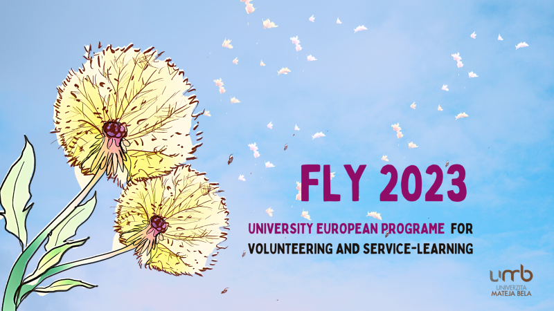 Fly v roku 2023
